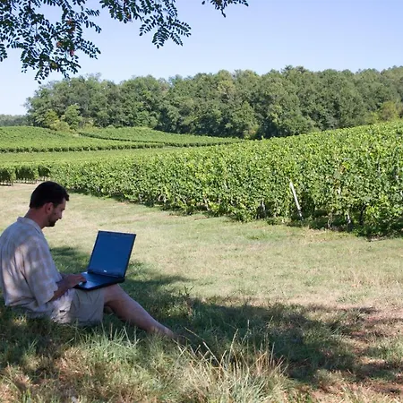 Le Pressoir 4* Petit-Palais-et-Cornemps