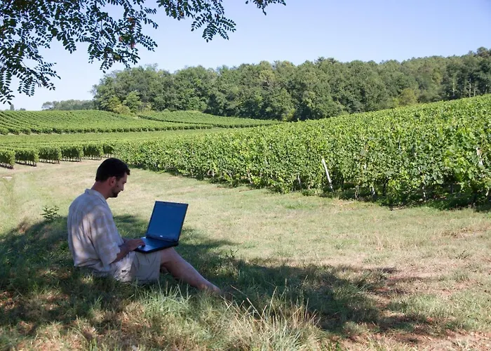 Le Pressoir 4* Petit-Palais-et-Cornemps