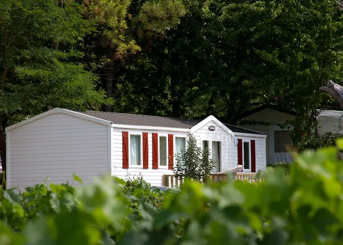 Campeggio Le Pressoir Petit-Palais-et-Cornemps