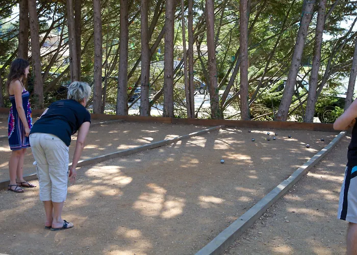 Le Pressoir Camping Petit-Palais-et-Cornemps